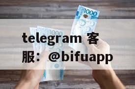 菲律宾第三方支付全解析：币付Pay与safe支付的本地化差异点解构   